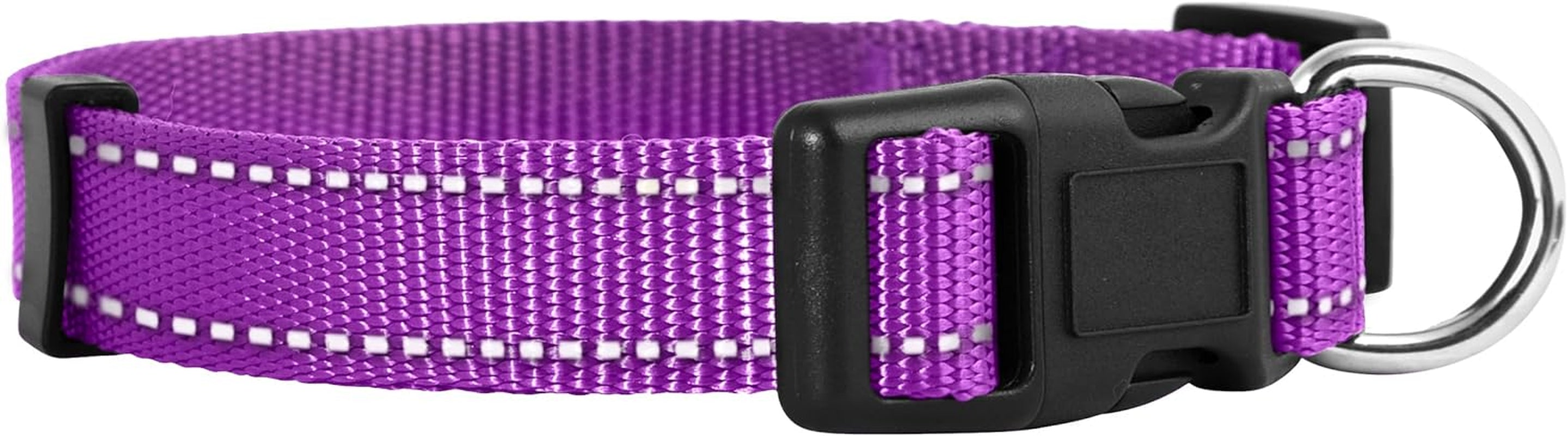 Adjustable Nylon Dog Collar for Small, Medium & Large Dogs | Comfortable Everyday Pet Collar