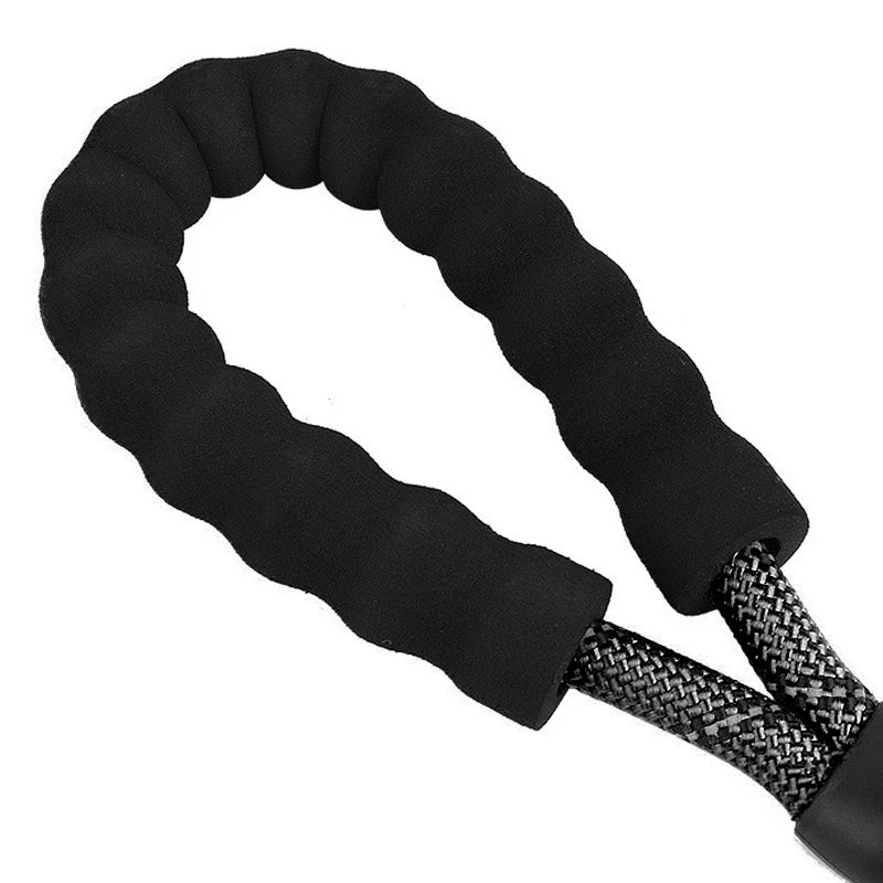 Double Dog Leash Coupler – Elastic Nylon Dual Lead for Walking