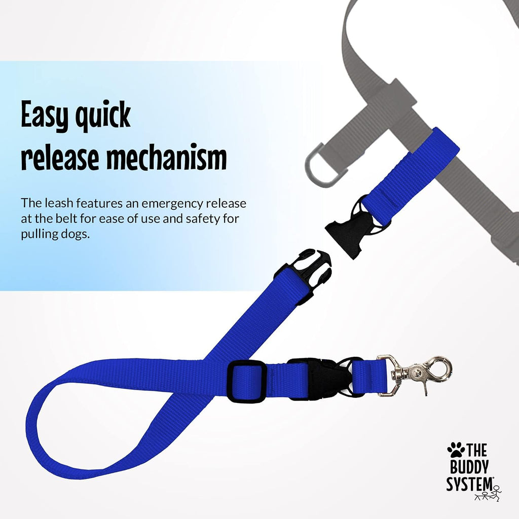 Hands-Free Dog Leash – Adjustable Running, Walking & Training Leash for Dogs -Royal Blue
