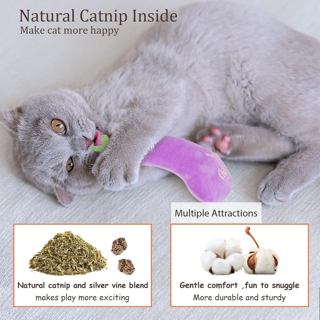 5-Pack Catnip Plush Cat Toys – Carrot-Shaped Interactive Toys for Indoor Cats