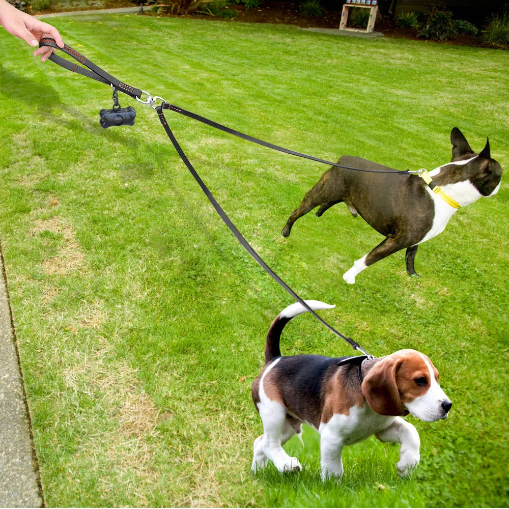 2-in-1 Double Dog Leash Coupler – Tangle-Free Dual Pet Lead with Handle for Two Dogs Small & Medium Dogs