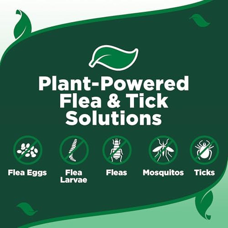 Plant-Based Flea and Tick Repellent Spray for Dogs – Non-Toxic Home & Pet Protection, 8 oz