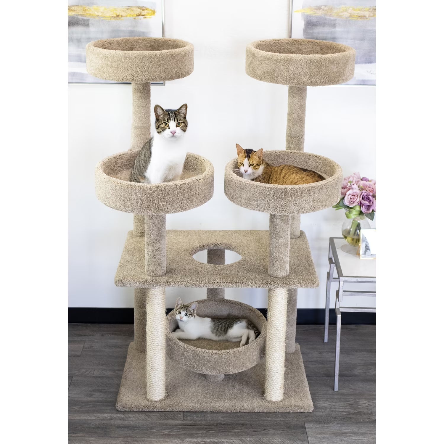 Cat Castle