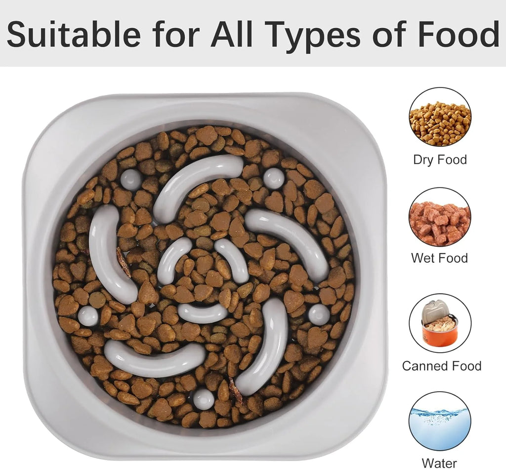 Slow Feeder Pet Bowl Set – 2 Pack Non-Skid Maze Food Bowls for Dogs & Cats