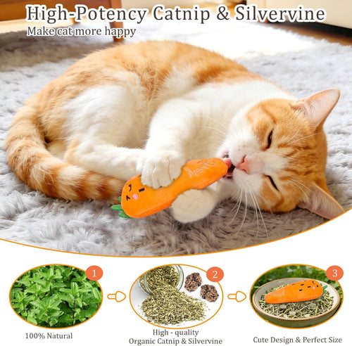 5-Pack Catnip Plush Cat Toys – Carrot-Shaped Interactive Toys for Indoor Cats