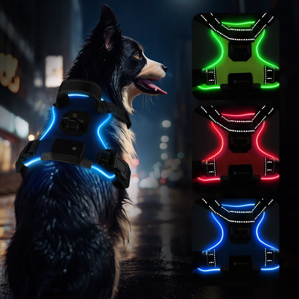 MASBRILL LED Light-Up Dog Harness Blue Large – Rechargeable No-Pull Reflective Harness for Night Walking