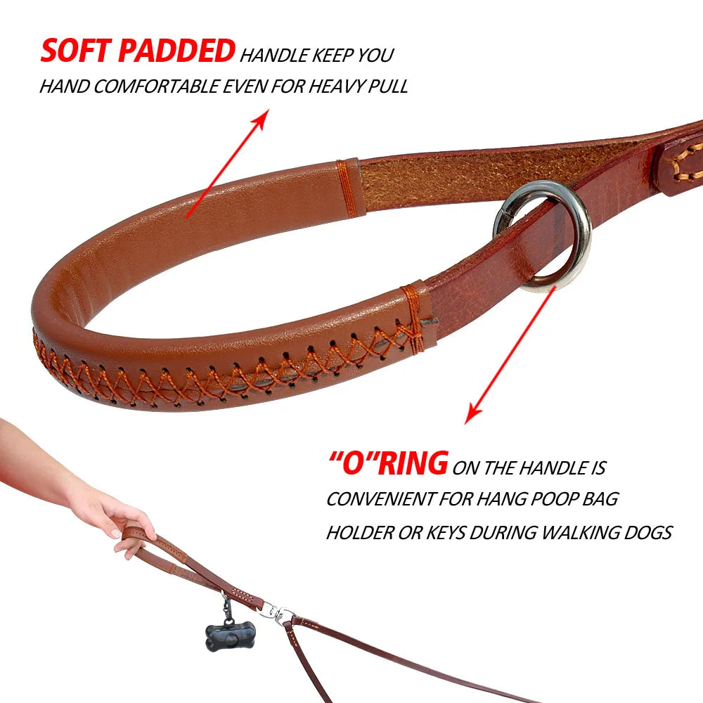 2-in-1 Double Dog Leash Coupler – Tangle-Free Dual Pet Lead with Handle for Two Dogs Small & Medium Dogs