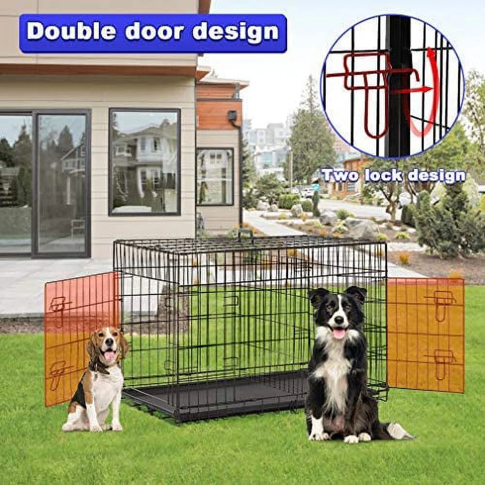 24 Inch Black Foldable Metal Double Door Dog Crate with Divider Removable Tray for Small Dogs