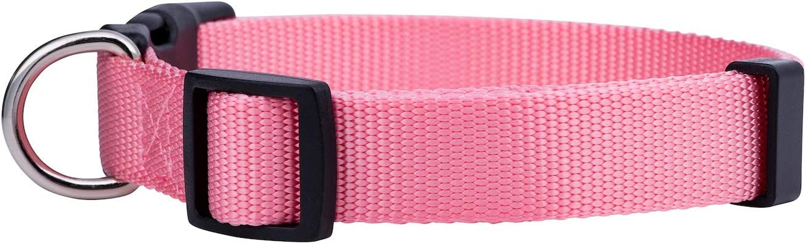 Adjustable Nylon Dog Collar for Small, Medium & Large Dogs | Comfortable Everyday Pet Collar