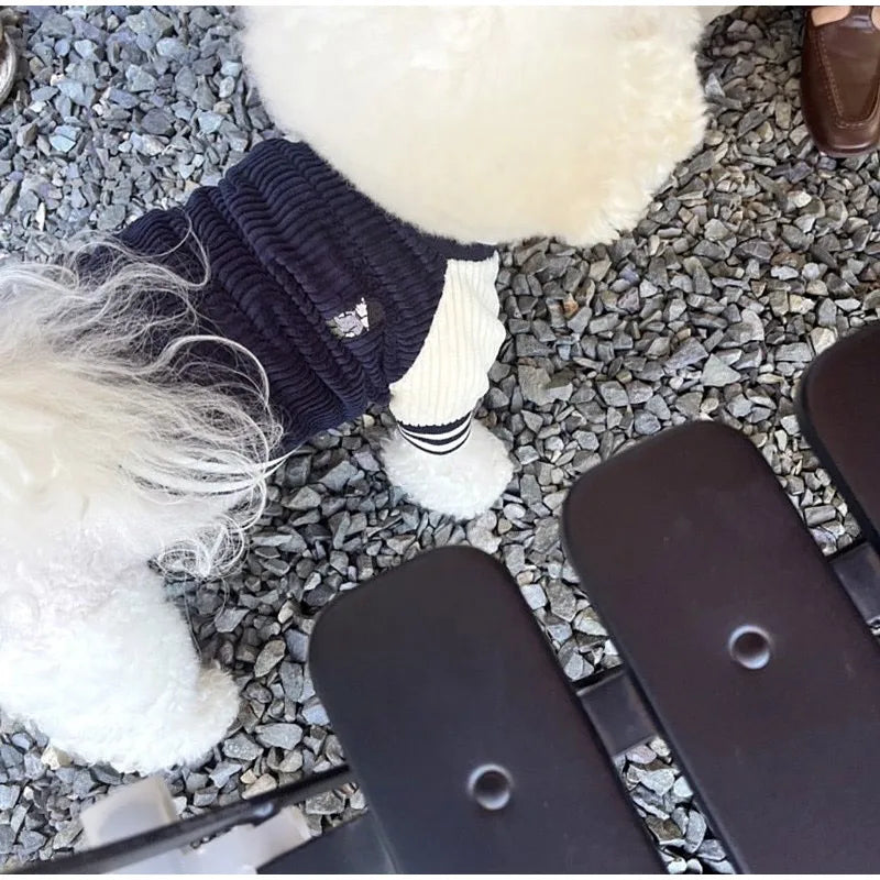Korean-Style Dog Baseball Jacket Pet Jackets For Small to Medium - Varius Sizes