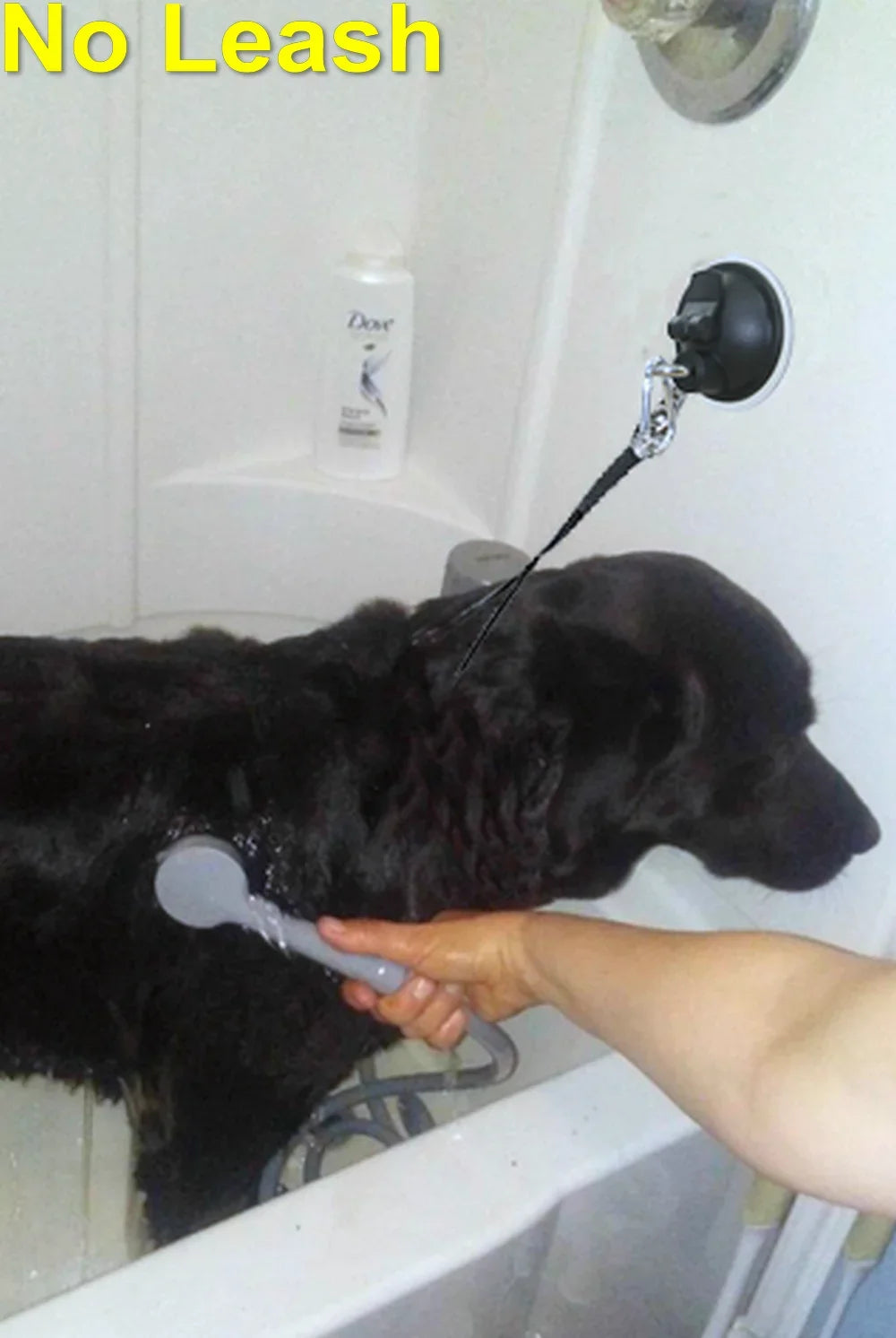 Suction Cup Hook Cleat for Pet Dog & Pet Cat Bathtub, Shower & Bathing, Grooming