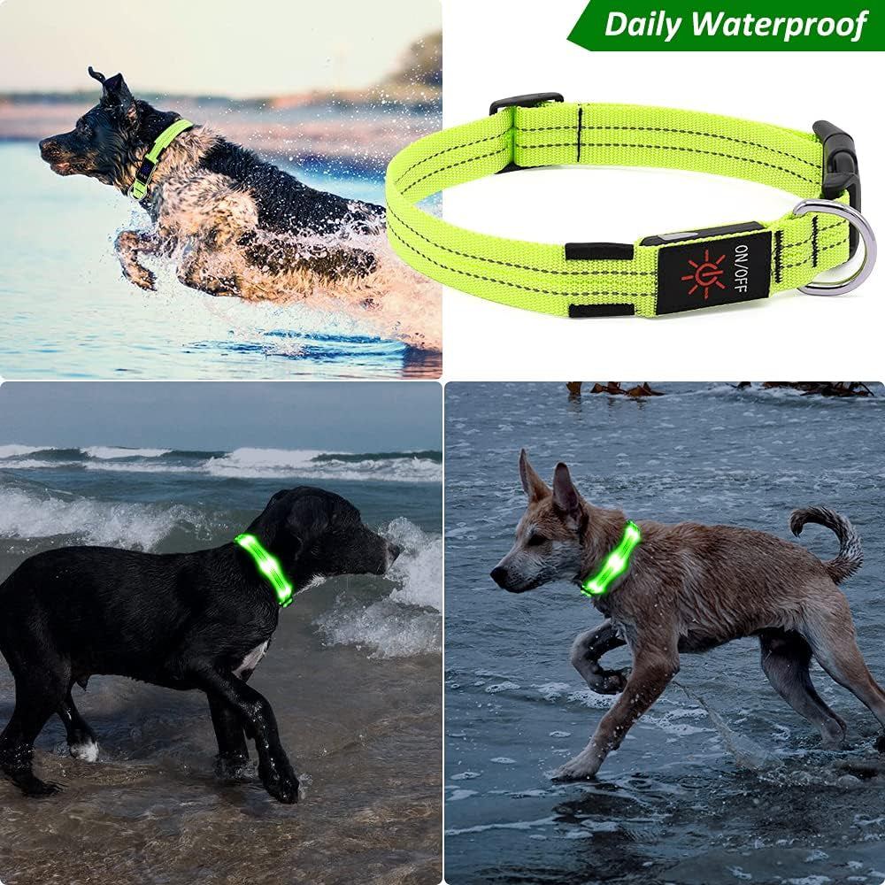 Vizpet Led Dog Collar, Rechargeable Light up Collar, Waterproof Flashing Light Basic Dog Collars, Super Bright Night Safety (Green, Large)