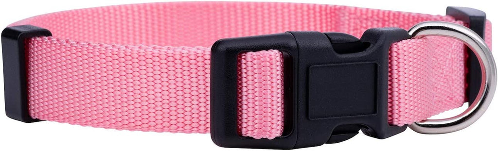 Adjustable Nylon Dog Collar for Small, Medium & Large Dogs | Comfortable Everyday Pet Collar