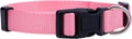 Adjustable Nylon Dog Collar for Small, Medium & Large Dogs | Comfortable Everyday Pet Collar