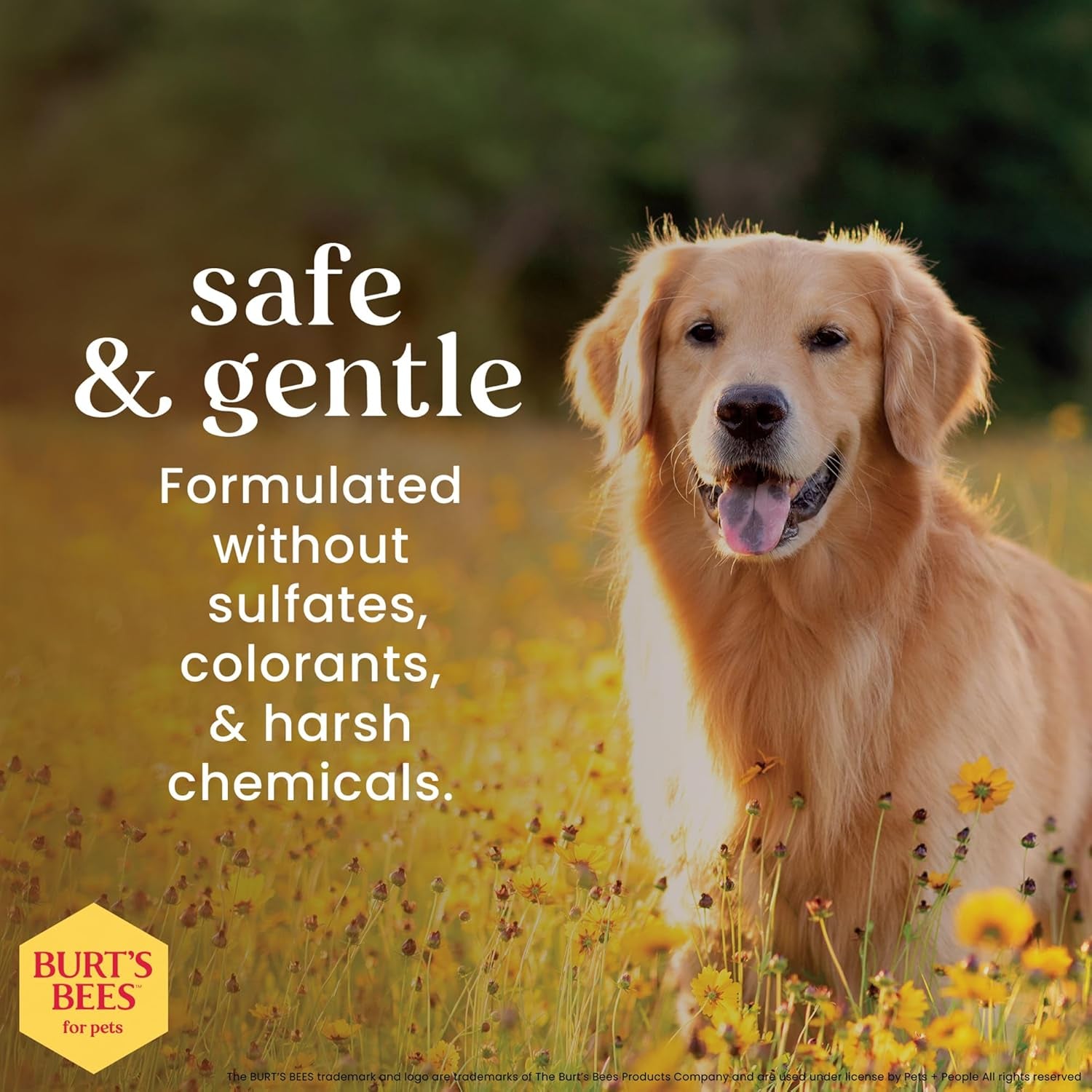 Calming Dog Shampoo with Hemp Seed Oil and Lavender, 95% Natural Origin Formula, Fragrance-Free, Soothing and Gentle Dog Wash for Sensitive Skin, 16 Fl Oz