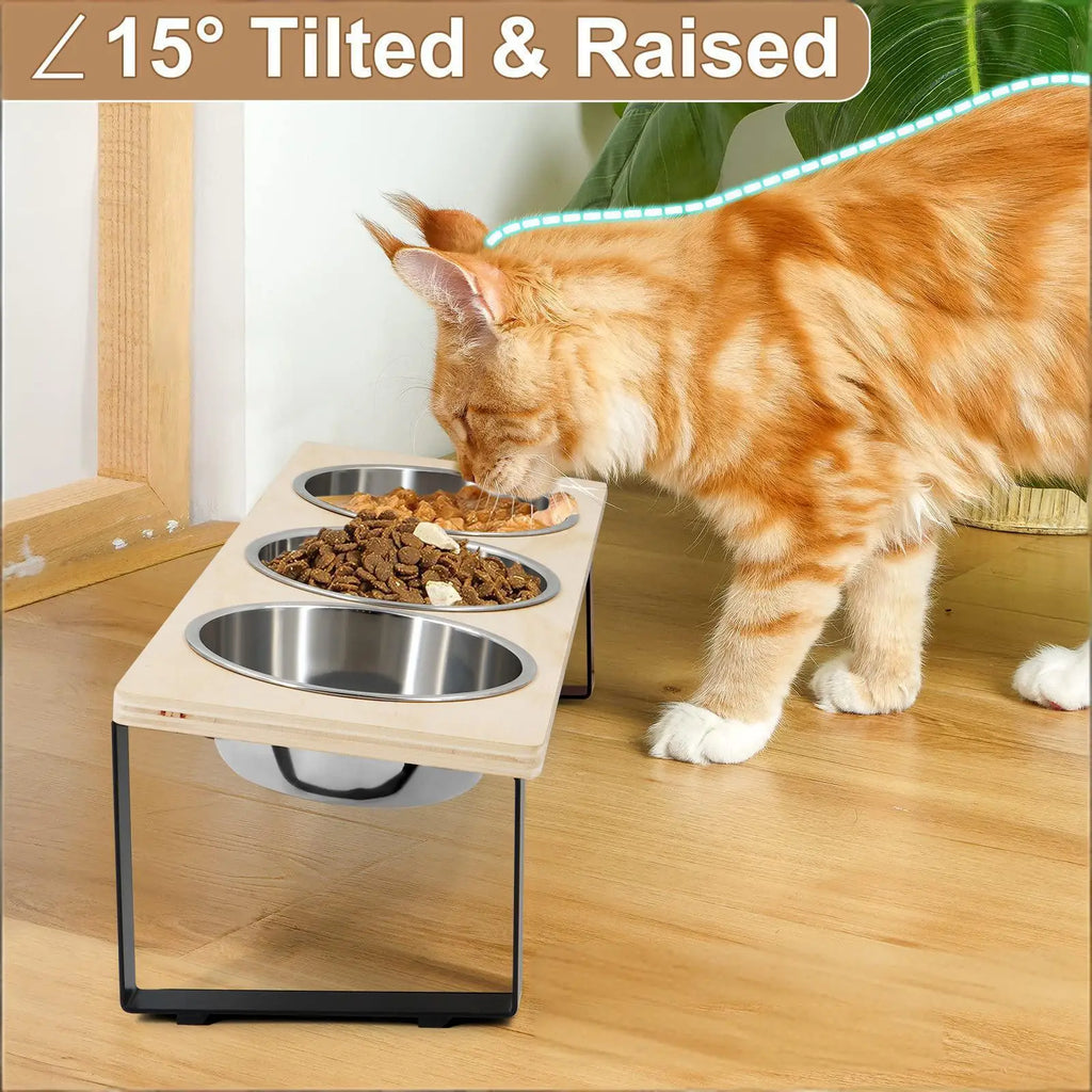 15° Tilted Elevated Cat & Puppy Feeder – Raised Feeding Station with 3 Stainless Steel Bowls