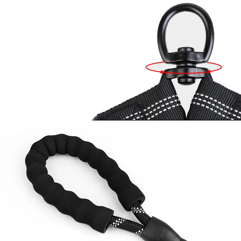 Double Dog Leash Coupler – Elastic Nylon Dual Lead for Walking