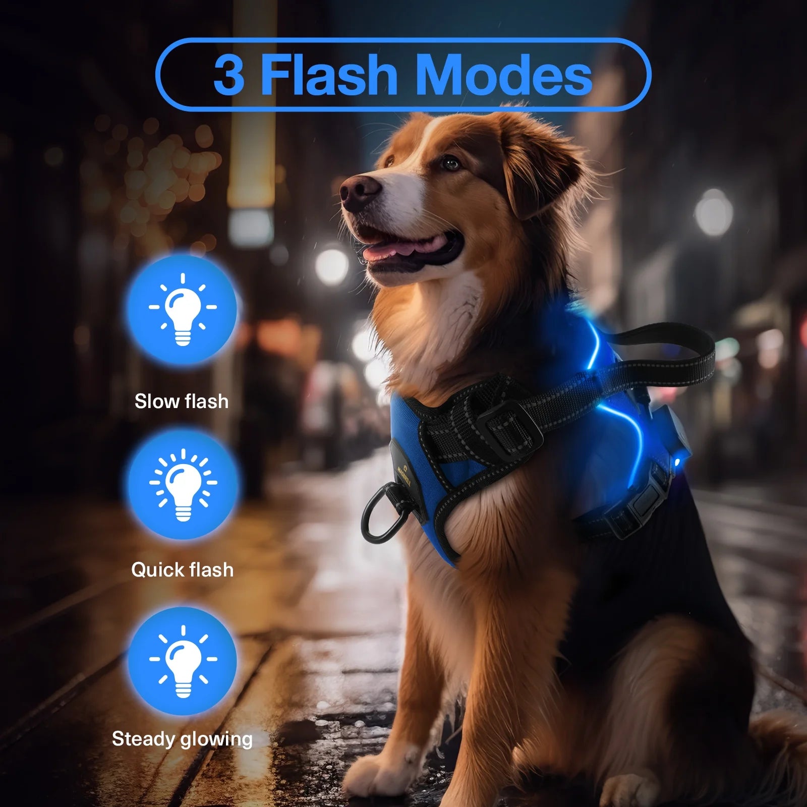 MASBRILL LED Light-Up Dog Harness Blue Large – Rechargeable No-Pull Reflective Harness for Night Walking