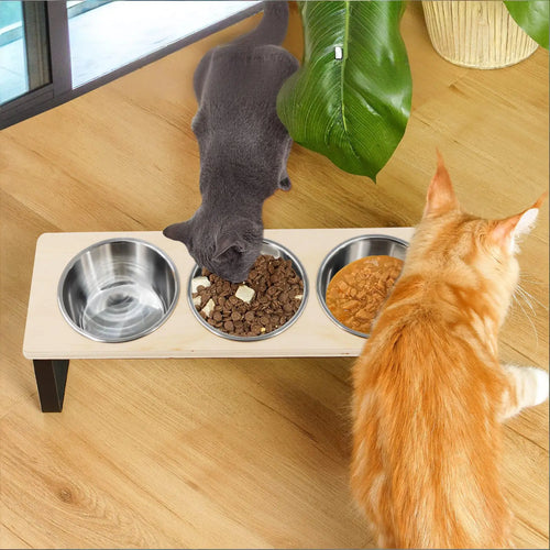 15° Tilted Elevated Cat & Puppy Feeder – Raised Feeding Station with 3 Stainless Steel Bowls