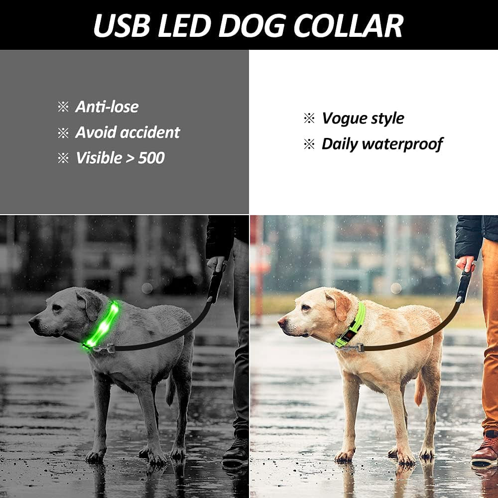 Vizpet Led Dog Collar, Rechargeable Light up Collar, Waterproof Flashing Light Basic Dog Collars, Super Bright Night Safety (Green, Large)