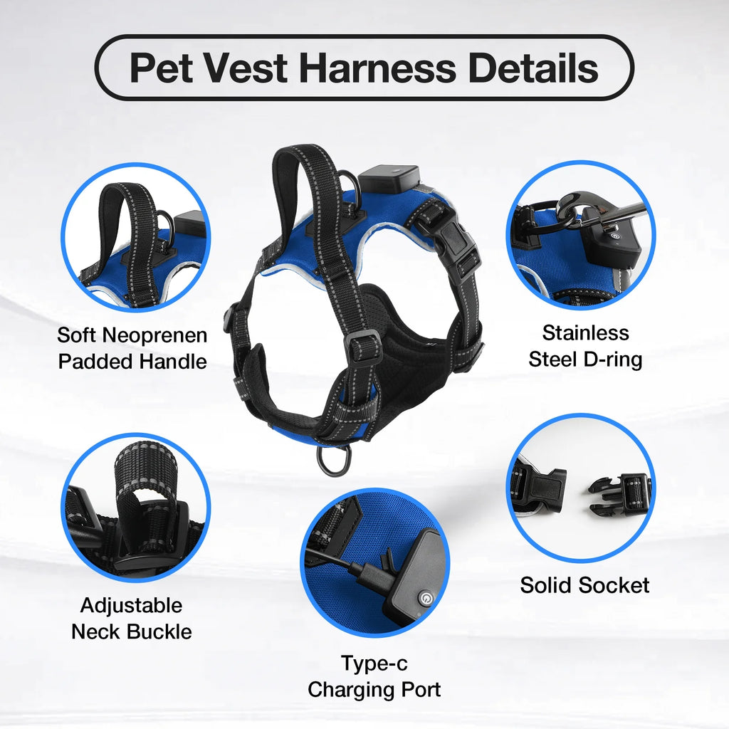 MASBRILL LED Light-Up Dog Harness Blue Large – Rechargeable No-Pull Reflective Harness for Night Walking