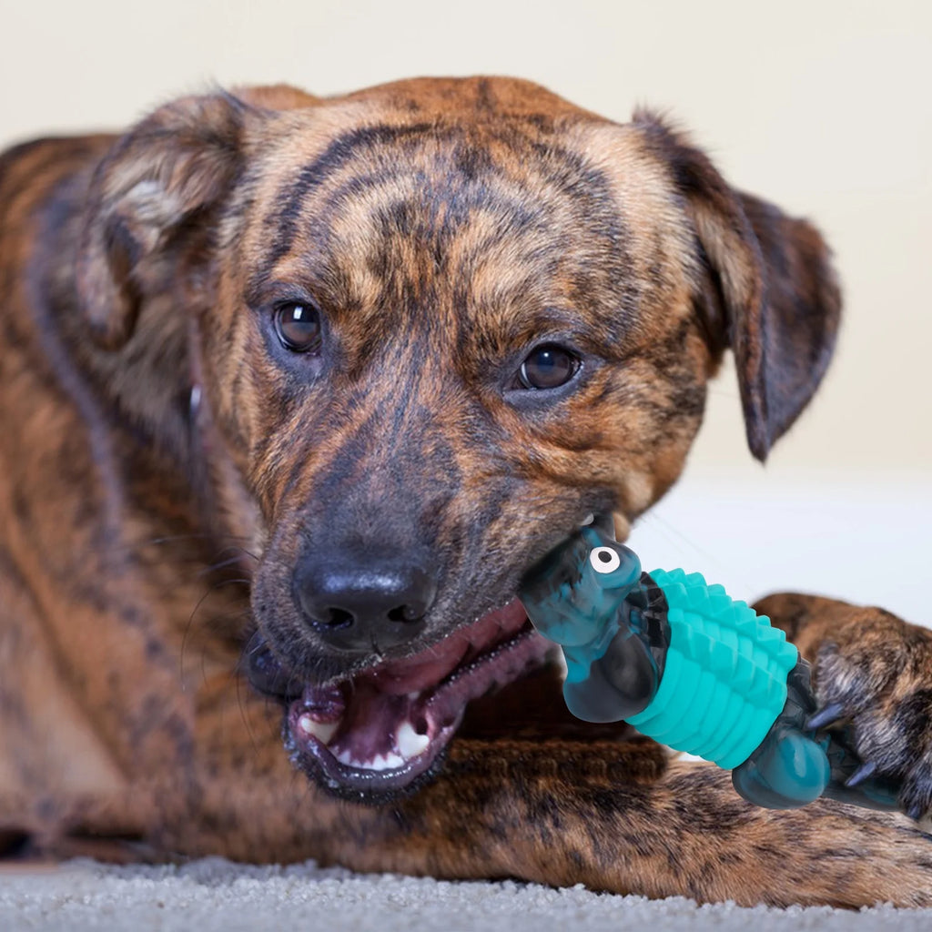 Tough Dog Toy for Large Breed Aggressive Chewers – Blue