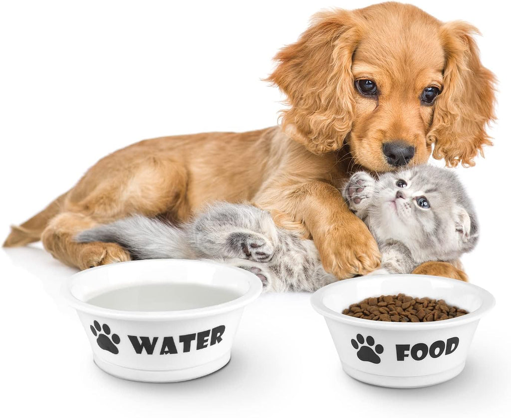 2-Pack Ceramic Cat & Dog Bowls – Durable Food and Water Dishes with Anti-Slip Band (Small)