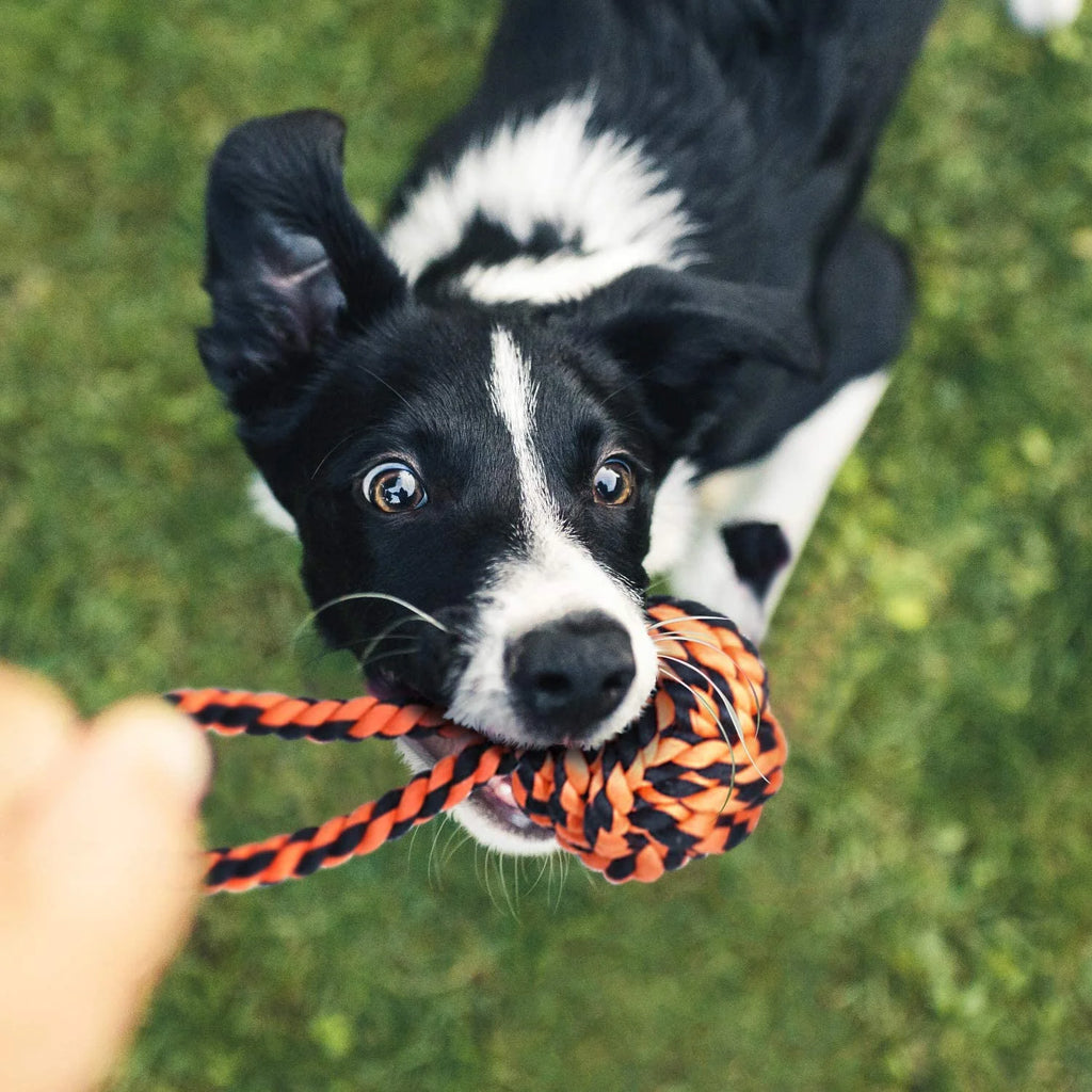 Large Tough Chew Toys, 9-Piece Indestructible Cotton Puppy Teething Tug Set for Aggressive Chewers