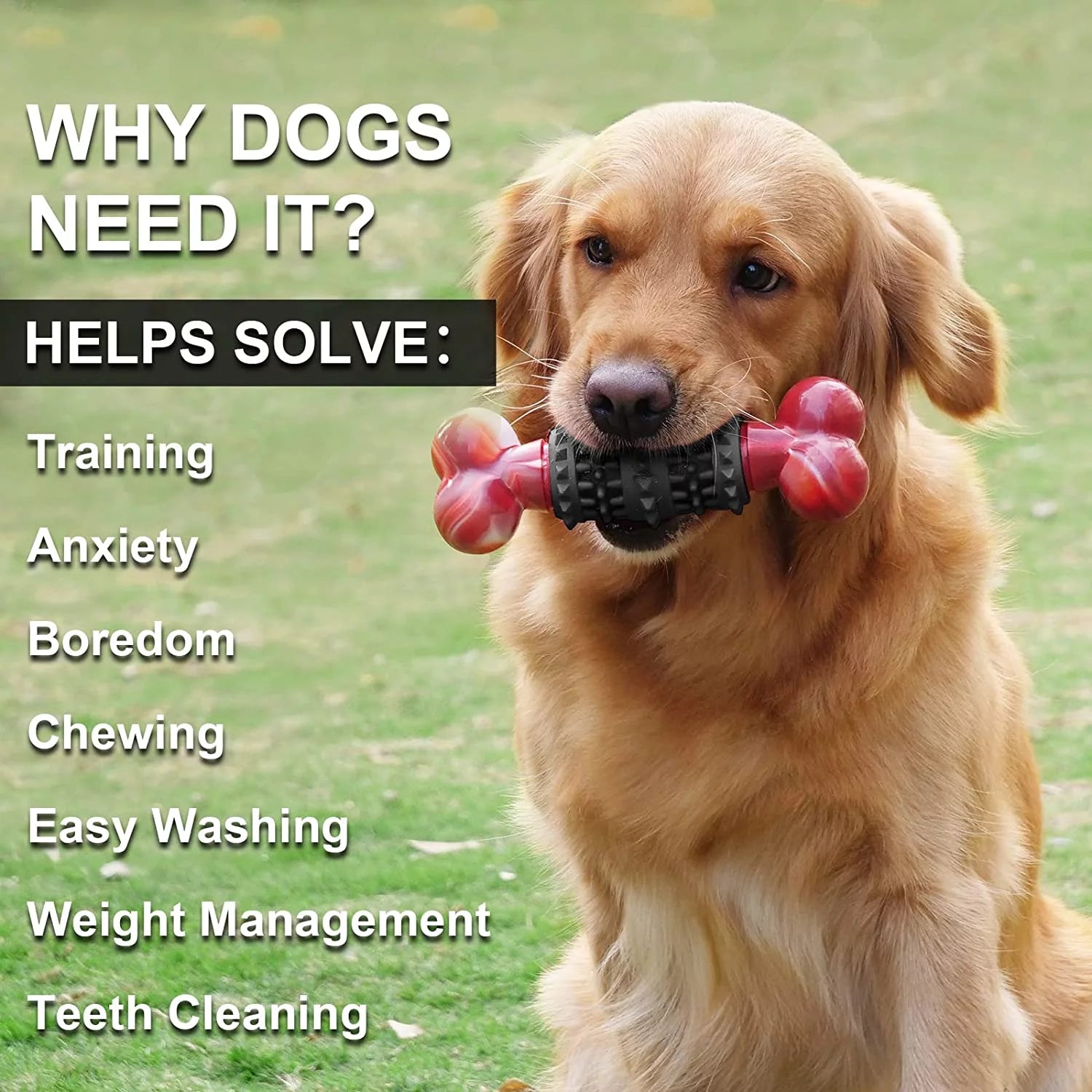 Indestructible Bone Dog Toy for Aggressive Chewers – Interactive Chew Toy for Medium & Large Dogs | Tough Dinosaur Dog Toy