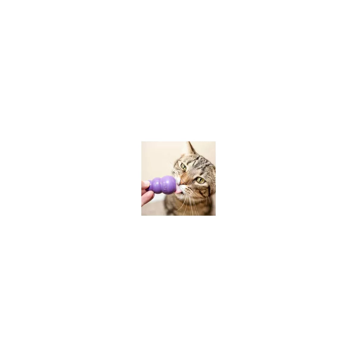 KONG Kitty Interactive Cat Toy – Lightweight Rubber Training & Play Toy for Cats of All Sizes