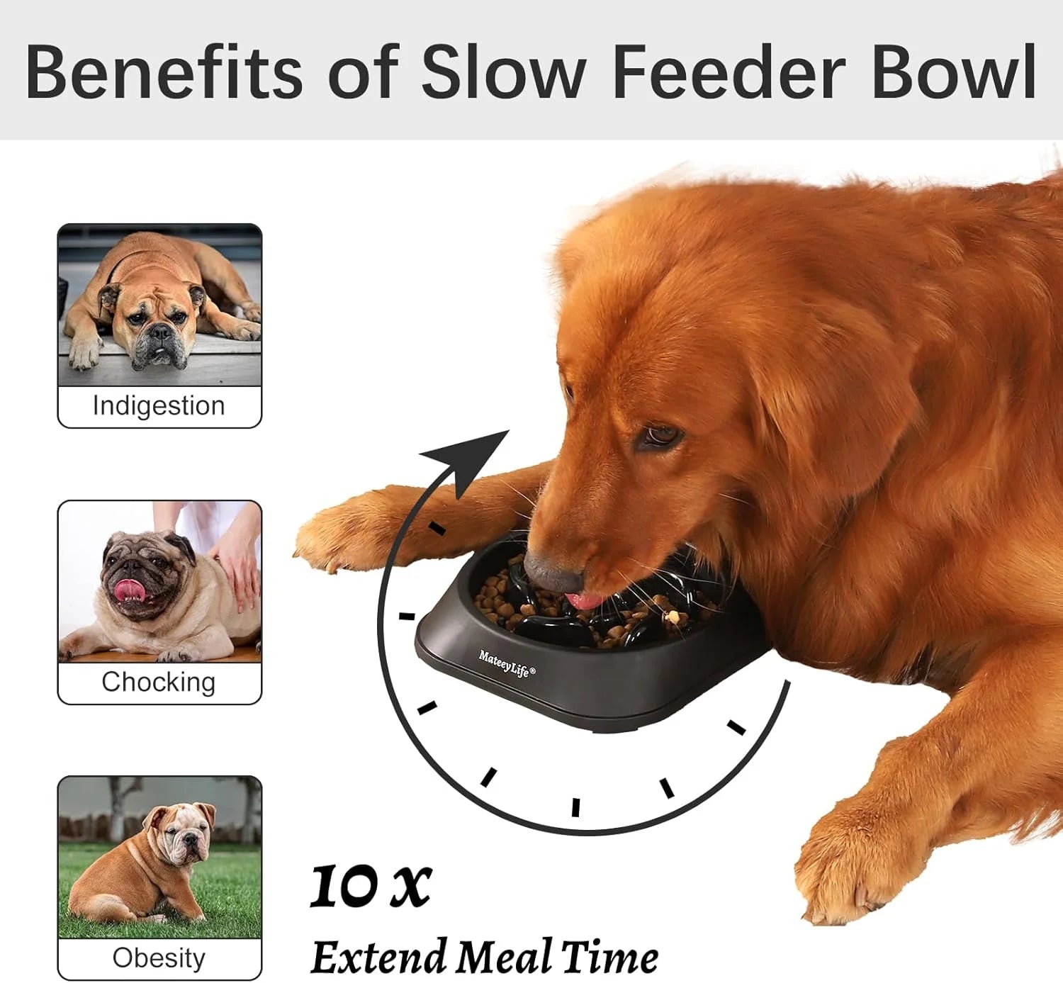 Slow Feeder Pet Bowl Set – 2 Pack Non-Skid Maze Food Bowls for Dogs & Cats
