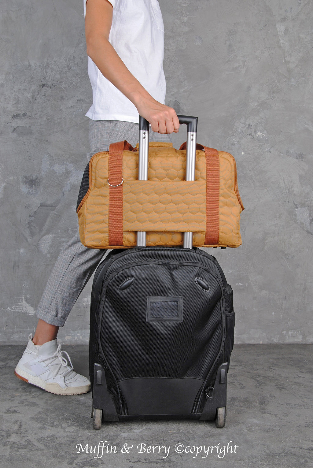 Pet Travel Carrier ALBERT 