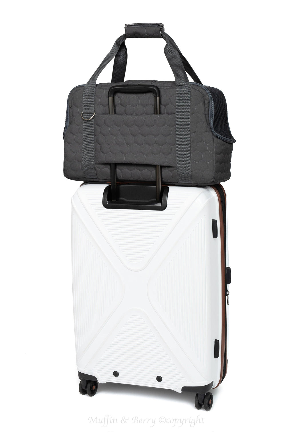 Carry-On Pet Travel Bag ARTHUR 
