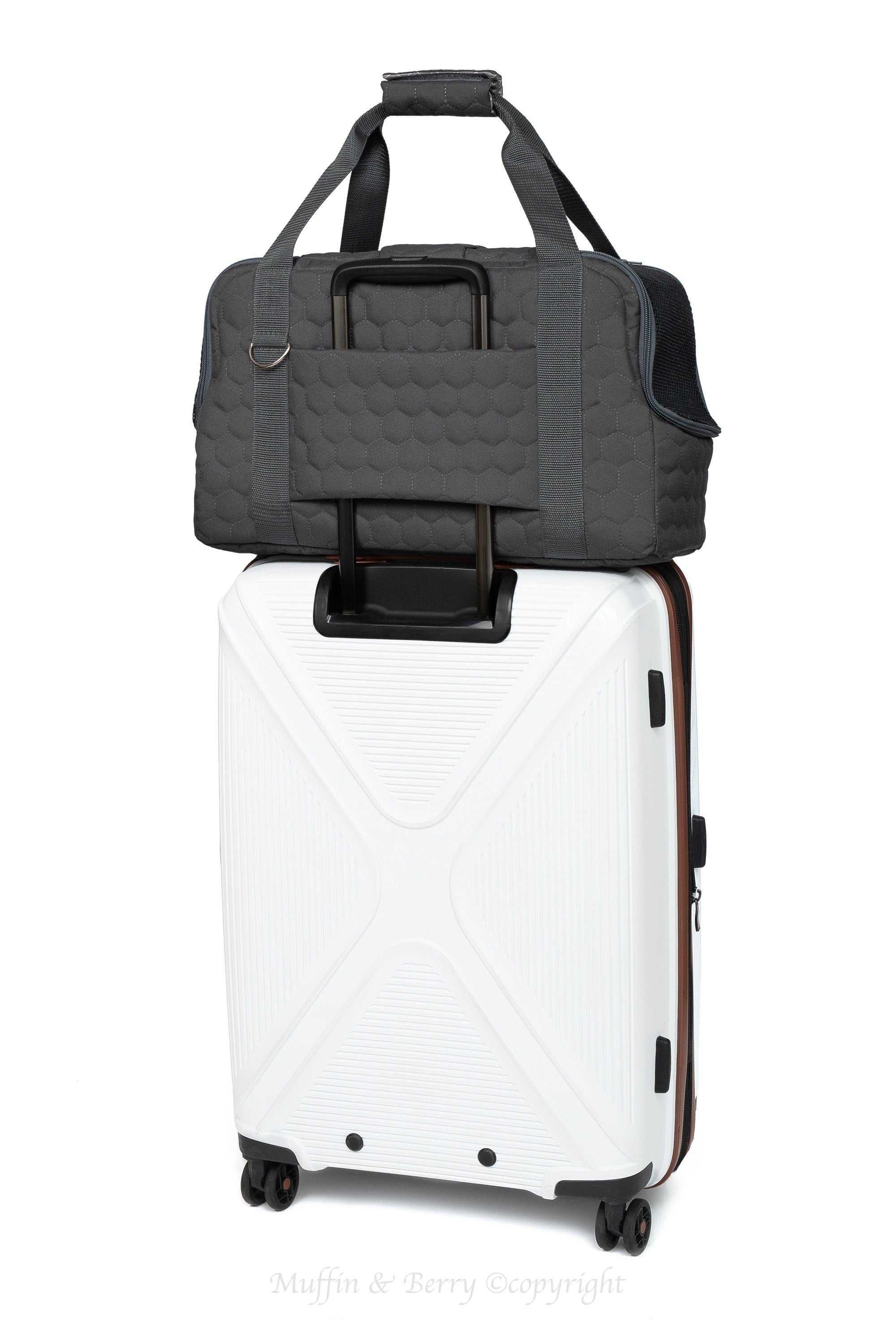 Carry-On Pet Travel Bag ARTHUR 