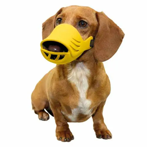 Artero Medium Silicone Muzzle for Dogs
